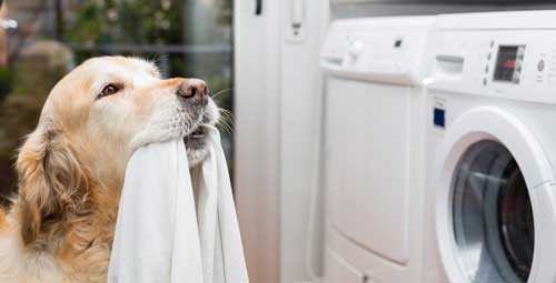 стегнатостта е нарушена