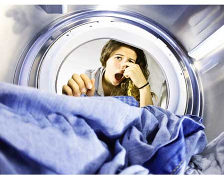 reason_for_the_odor_from_the_washing_machine