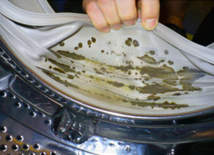 Mold and mildew in the washing machine