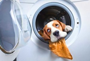 Чужд "предмет" в пералнята