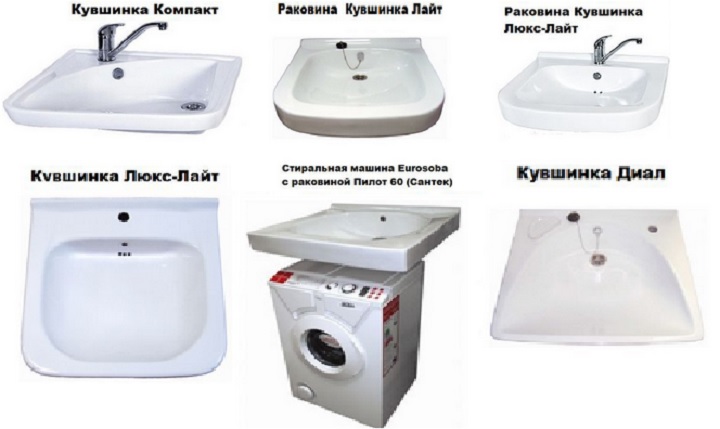 Types of Water Lily Shells