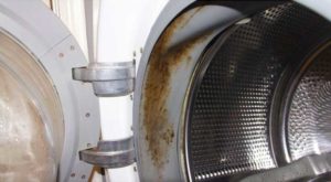 Мухъл върху уплътнителната гума