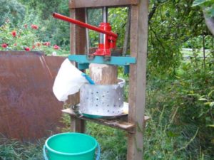 Забележка: Използвайте цедка за извличане на сока, ако искате сокът да е без пулпа и бистър. Оставете сока да престои.